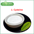 Pó fino de aminoácido L-cisteína